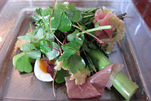 Ainsworth2011_asparagus1