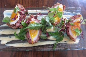 Ainsworth2011_scotchegg