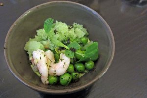 Texture2011_1peamint