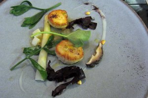 Texture2011_3scallops