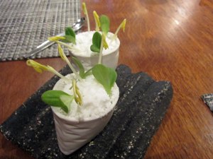 Beetroot and mozzarella, celery and dill